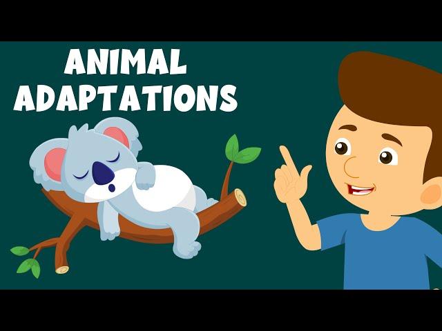 Animal Adaptations - Adaptation and Survival - Animal Adaptations for Kids - Learning Junction