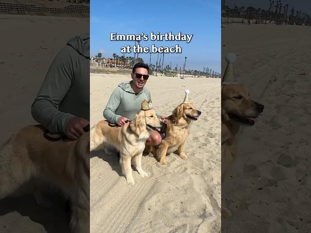 Celebrating my dog’s first birthday at the beach