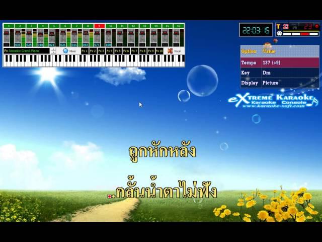 FX พิณม่วนๆ