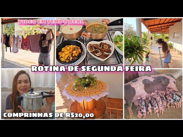 ROTINA DE SEGUNDA FEIRA EM TEMPO REAL | COMPRAS PARA O LAR | VARANDA LINDA MORANGOS  E ALMOÇO