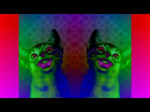 Preview 2 Numa cat effects in low voice^2