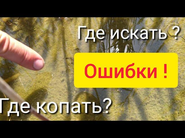 Где копать морской червь нереис