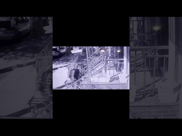 Awful Human Steals Wife's Package Moments After Delivery