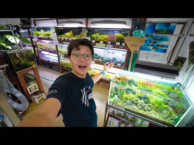 Traditional Japan Fish Store Tour! Beautiful Planted Aquariums!!