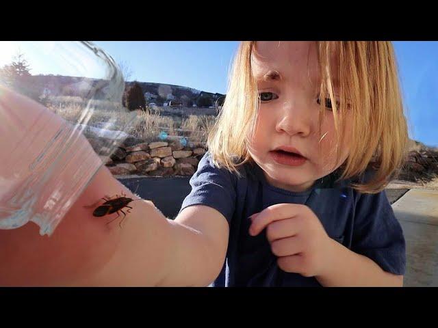 CATCHiNG BUGS with NiKO!!  Morning Swim and Breakfast in the Pool! family spring break best day ever