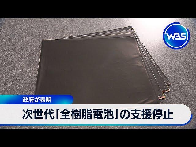 次世代「全樹脂電池」の支援停止　政府が表明【WBS】