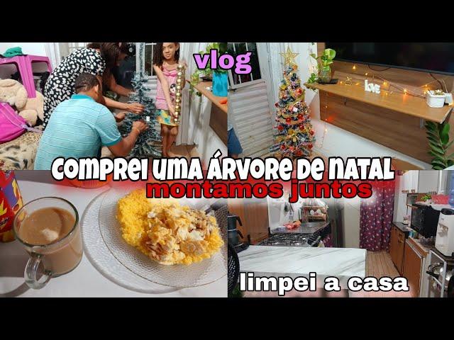 COMPREI UMA ÁRVORE DE NATAL/MONTAMOS EM FAMÍLIA/LIMPEI E ORGANIZEI A CASA. #viralvideo