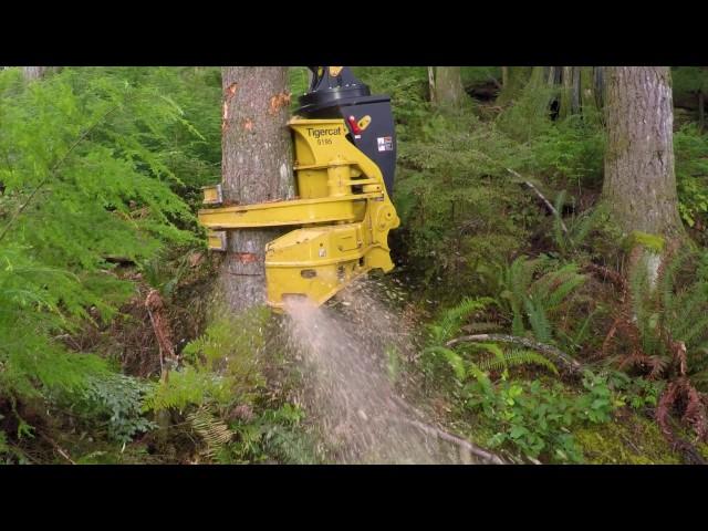 Tigercat 5195 Directional Felling Saw advantages