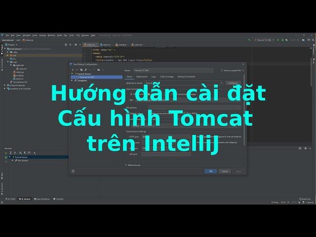 Hướng dẫn cài đặt cấu hình TomCat Server  trên IntelliJ (Part 1) | Lidager DEV