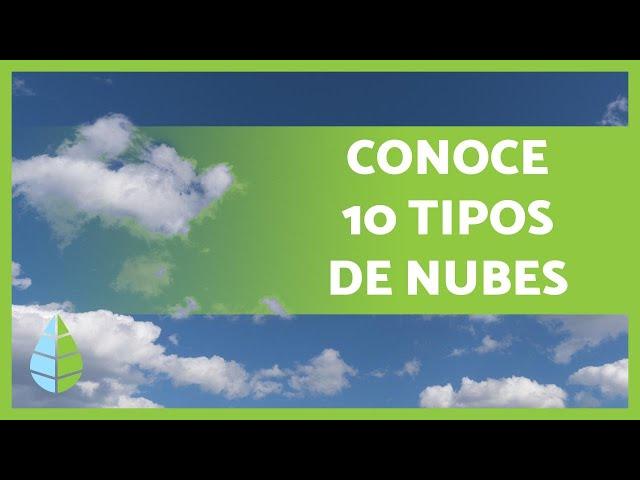 TIPOS de NUBES️ ¿Cómo se forman? 