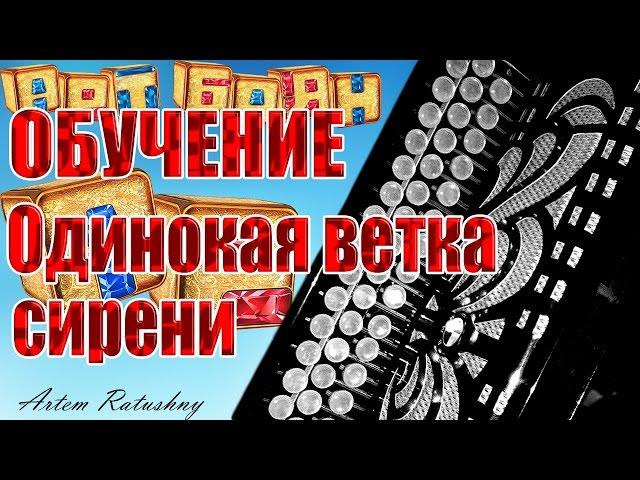 НА БАЯНЕ ОБУЧЕНИЕ Одинокая ветка сирени