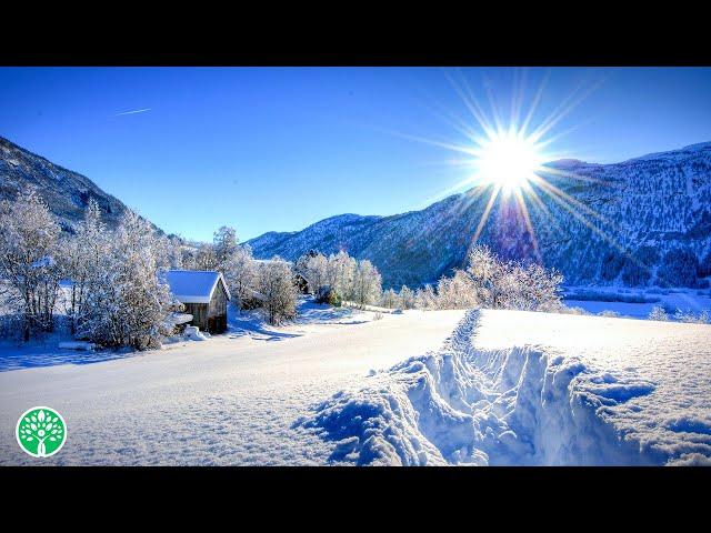 Beautiful Relaxing Music, Peaceful Soothing Instrumental Music, "Winter Ridge"