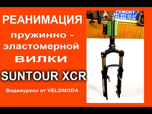 Пружинно-эластомерная вилка Suntour XCR. Перебираем вилку, делаем ТО вилки