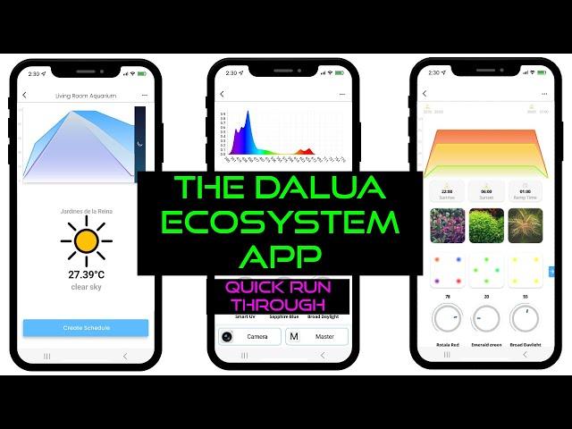 The DALUA ECOSYSTEM App Quick Run Through