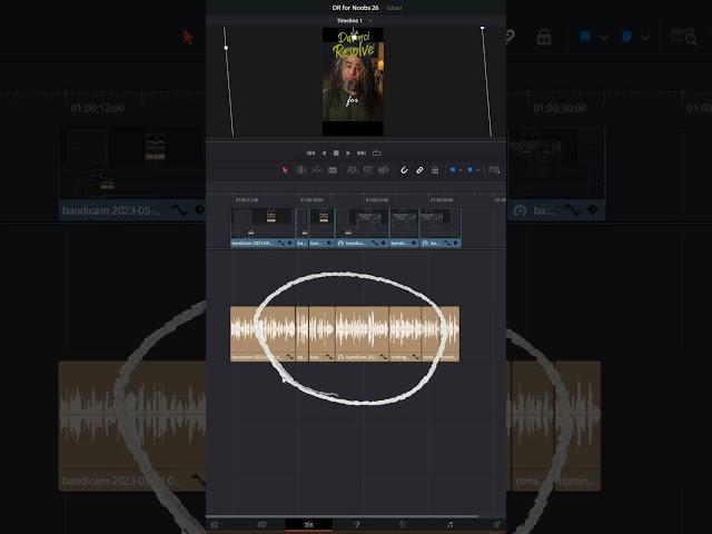Control Multiple Audio Clips at Once - DaVinci Resolve for NOOBS! - Tip #26