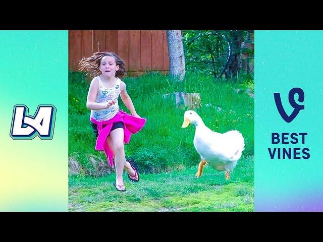 TRY NOT TO LAUGH Funny Videos - Funniest Reaction When Kids Meet Animals