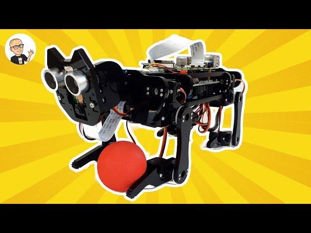 Freenove Robot Dog Kit for Raspberry Pi | Unboxing & Assembly