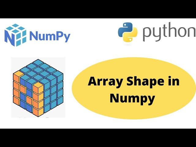 Array Shape in Numpy | Python Numpy Array Shape | Numpy Shape of Array | Numpy Tutorial