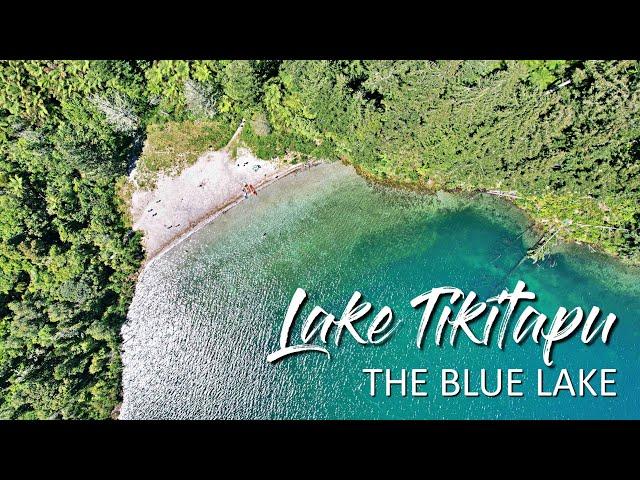 Lake Tikitapu (The Blue Lake) , Rotorua, NZ