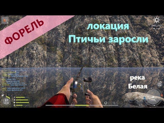 Русская рыбалка 4 - река Белая - Форель по наводке