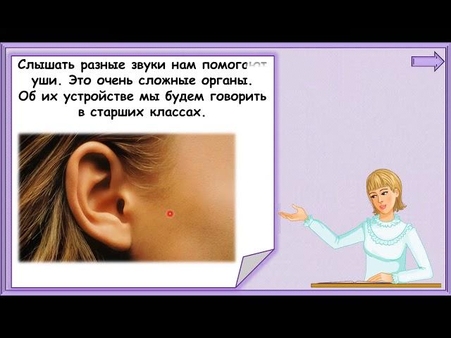 Почему звенит звонок? #1класс #окружающиймир #дистанционноеобучение