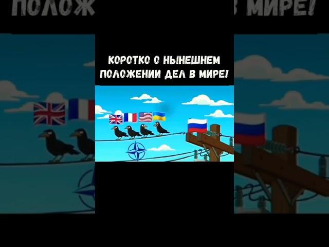 Нынешние дела в мире️ #Shorts #youtubeshorts #украина #Россия #донбасс #Война #мир #США