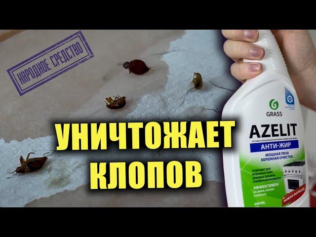 Клопов МГНОВЕННО ПАРАЛИЗУЕТ и они умирают! Азелит против клопов