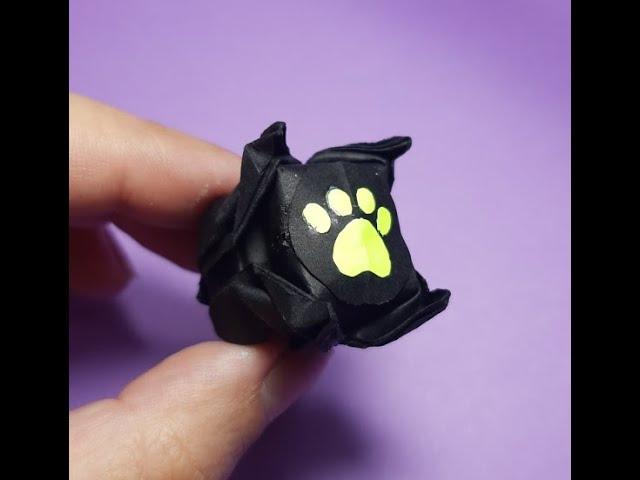 Cat Noir Ring (Anillo de Cat Noir) Miraculous