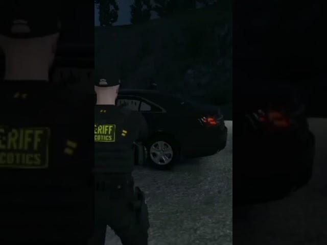 #fivem #gta #bcso #sgt #narcotic #arrest