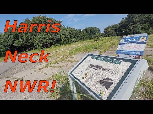 Driving On An World War 2 ARMY AIRFIELD! Harris Neck National Wildlife Refuge!