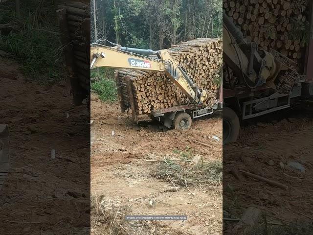 Process Of Transporting Timber In Mountainous Areas !