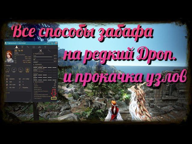 Black Desert / BD: Все способы забафа на редкий Дроп. и прокачка узлов