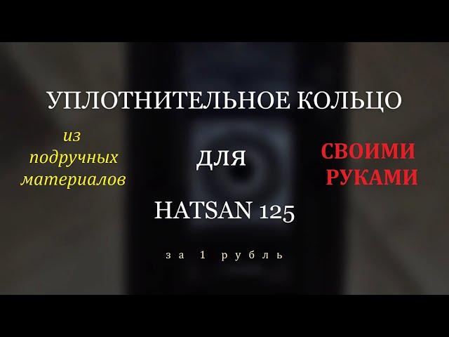 Уплотнительное кольцо Hatsan 125 своими руками практически бесплатно