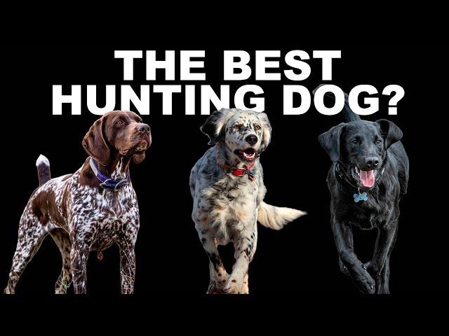 The Best Hunting Dog Breed - Season 2: Episode 40