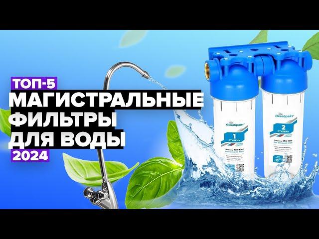 ТОП-5: Лучшие магистральные фильтры для воды  Рейтинг 2024 года