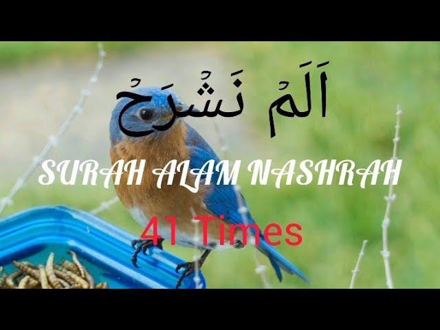 Surah Alam Nashrah اَلَمۡ نَشۡرَحۡ Full Surah (41 Times) Surah Alam Nashrah Mishary Rashid Alafasy