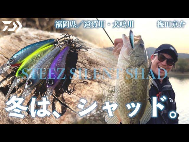 冬は、シャッドだ【STEEZ SILENT SHAD】梅田京介｜Ultimate BASS by DAIWA Vol.735