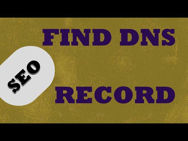 Find DNS records