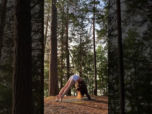 Morning yoga in forest is a miracle #yoga #pilates