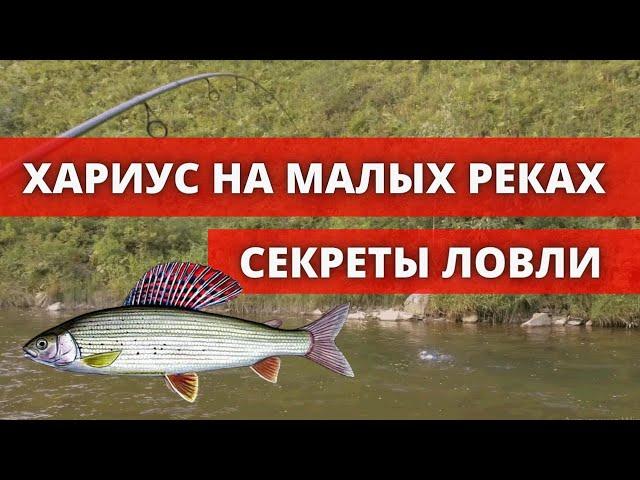 Секреты ловли хариуса на малых реках. Рыбалка на хариуса 2020.