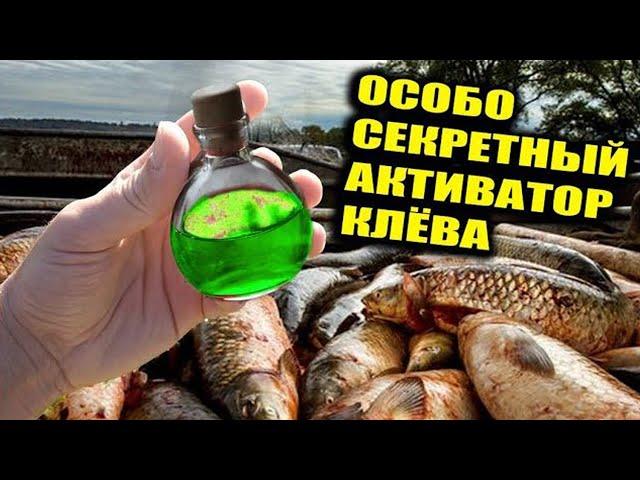 ВОТ ОТ ЧЕГО ДУРЕЕТ РЫБА! ВЗЯЛ 47КГ РЫБЫ ЗА ТРИ ЧАСА РЫБАЛКИ!