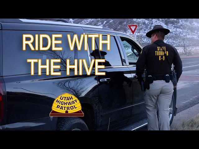 Tesla Tells All, Even When You're Wrong - Ride with the Hive Episode 13