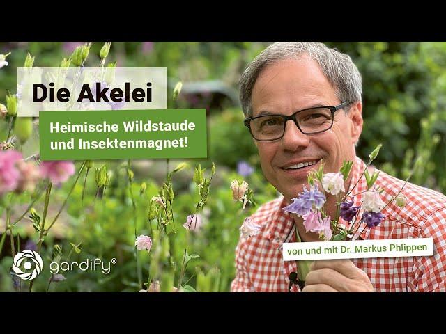 Die Akelei - heimische Wildstaude für den Naturgarten und Nektarquelle für Bienen und Hummeln!