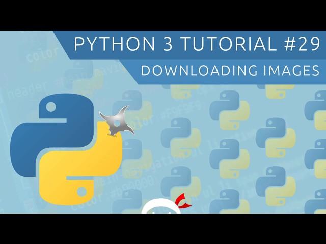 Python 3 Tutorial for Beginners #29 - Downloading Images