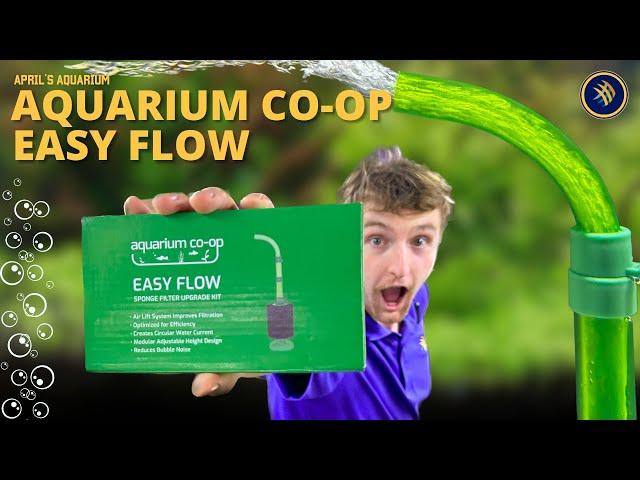 Easy Flow: Aquarium Co-op Highlight