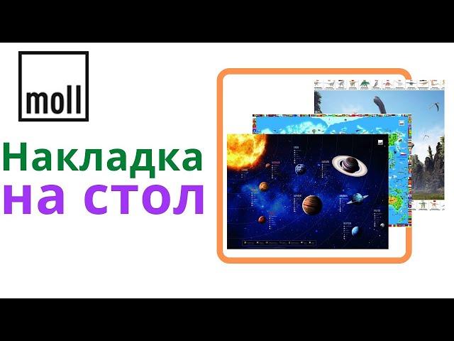 Интерактивные накладки на стол от moll: удобство и развитие