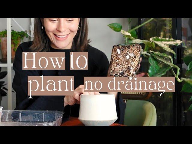 How to pot into no drainage + all the houseplants I grow this way