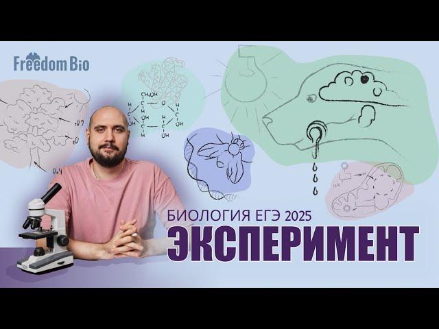 ЭКСПЕРИМЕНТЫ в ЕГЭ по биологии. Задание 22-23| ЕГЭ БИОЛОГИЯ 2025|Freedom|