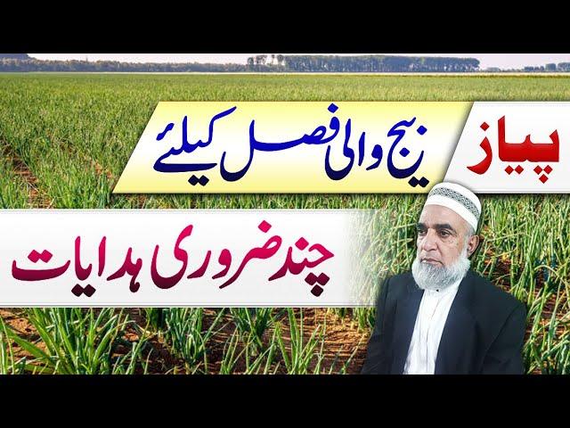 Instructions for Onion seed Crop || Crop Reformer