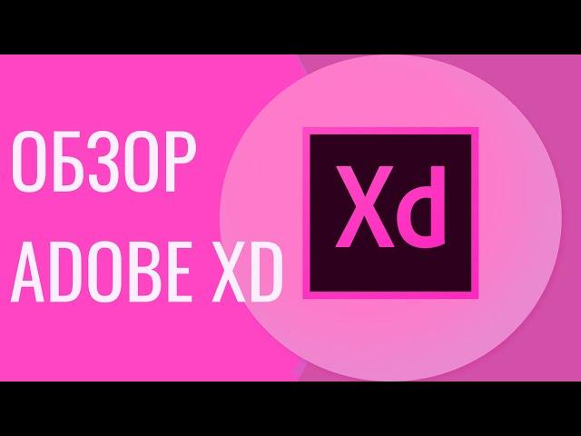 Adobe XD уроки. Обзор программы Adobe XD.